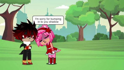 Shadow and Amy  Rose