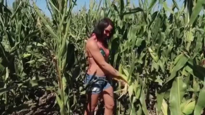 Riley Jacobs back at it checking the corn