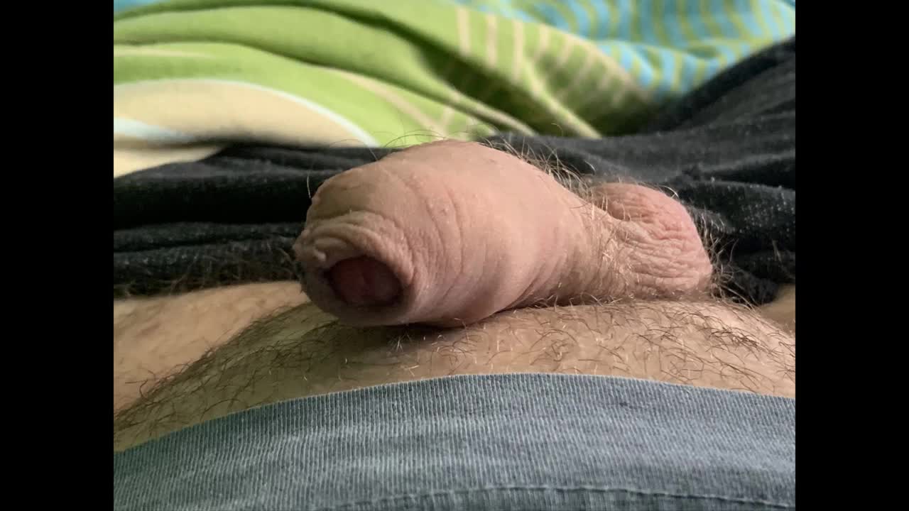 Watch Taking photos of my little hairy penis Short Sex Videos - Duration: 04:48 | ePornNEW.