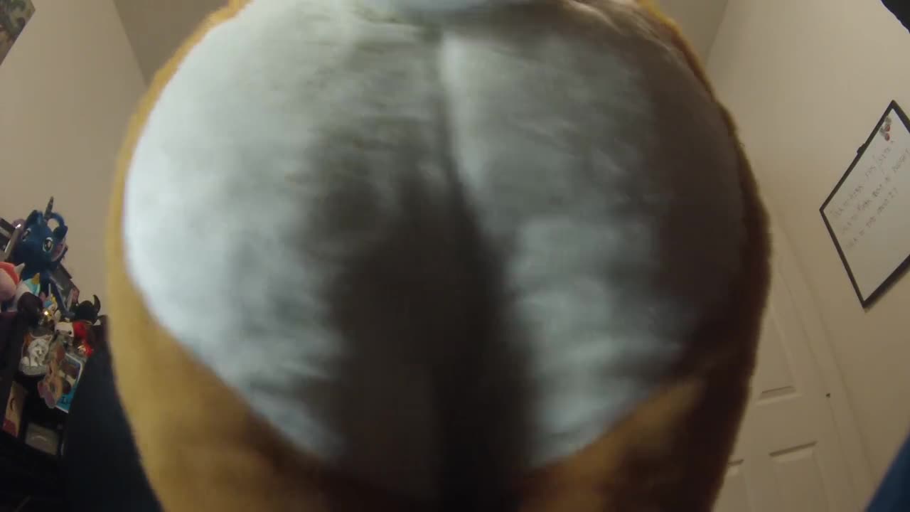 Watch uncomfortably close to furry ass Short Sex Videos - Duration: 00:44 | ePornNEW.