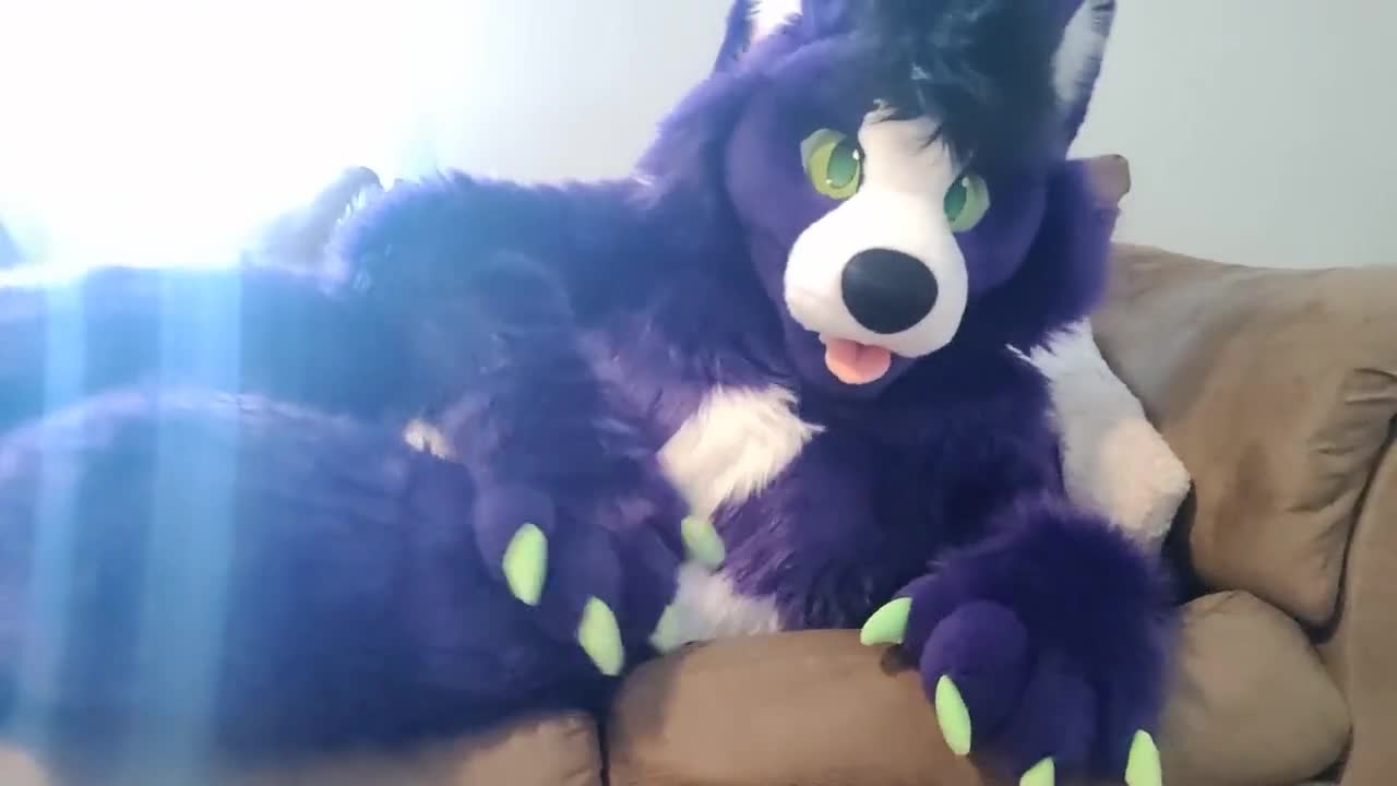 Watch A Little Alone Time - Solo Fursuit Petting and Rubbing - Solo Female - Low Volume Short Sex Videos - Duration: 10:23 | ePornNEW.