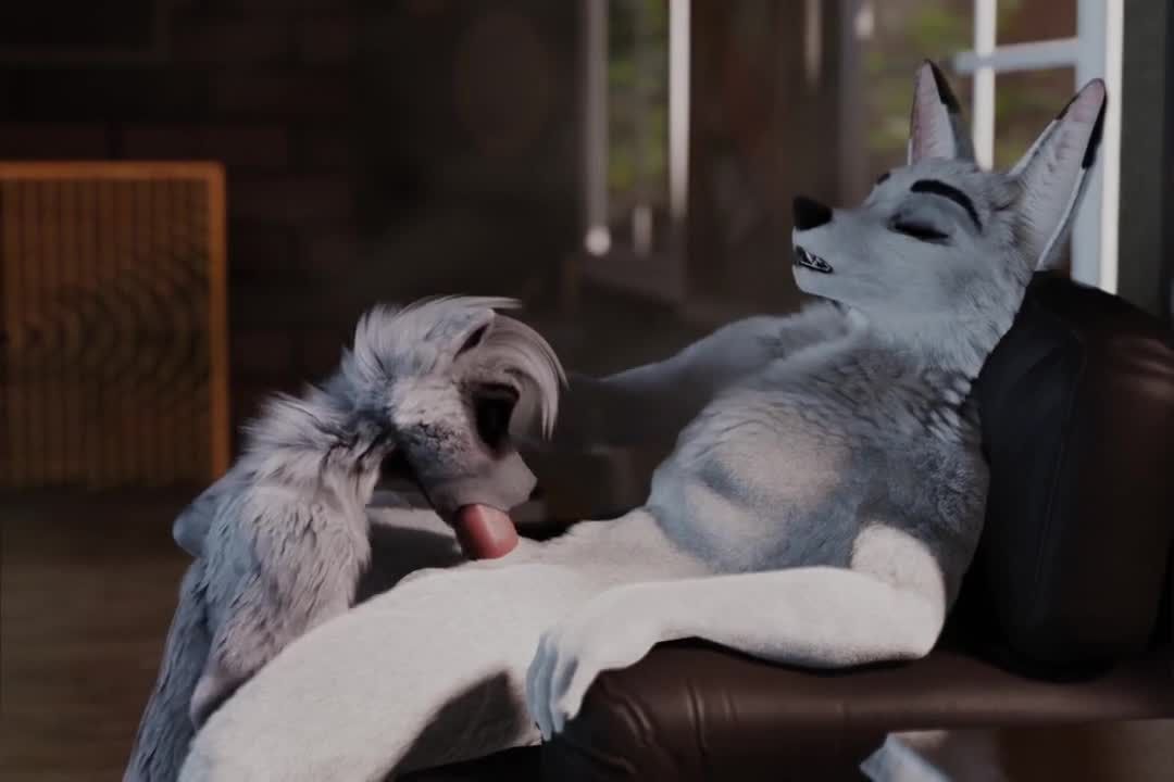 Watch Wolf gets a blowjob-Furry Yiff Short Sex Videos - Duration: 00:53 | ePornNEW.