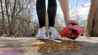 Adidas Superstar Giantess Mealworm Bug Crush Fetish Trample