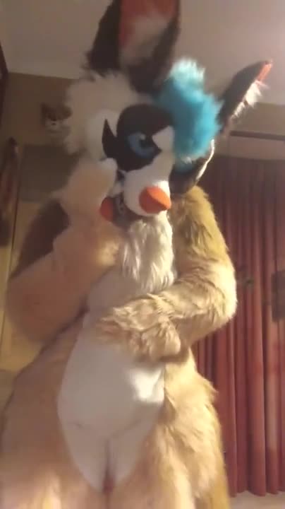 Watch Fursuit striptease Short Sex Videos - Duration: 01:25 | ePornNEW.