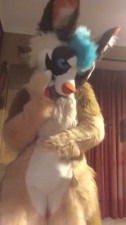 Fursuit striptease