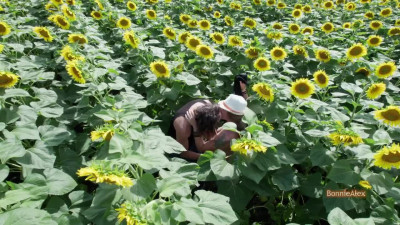 Indian Style Sex on Sunflower Field