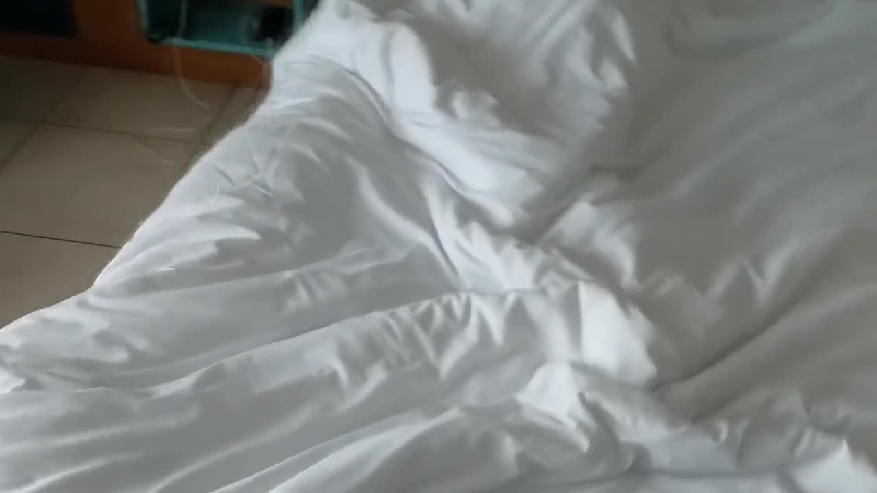 Watch Petit Coup Doeil Sous Le Drap Au Réveil Short Sex Videos - Duration: 01:51 | ePornNEW.