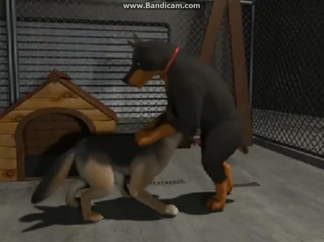 Watch 2 DOGS YIFF - SHORT ANIMATION Short Sex Videos - Duration: 03:35 | ePornNEW.