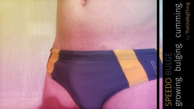 SPEEDO BULGE - Growing. Bulging. Cumming.