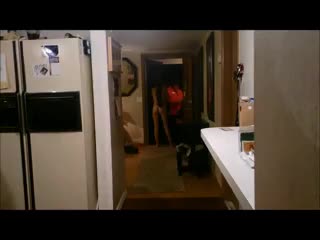 Watch 4 Girls Give Pizza Delivery Guys Erections Short Sex Videos - Duration: 03:07 | ePornNEW.