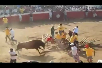 Another Bull Gets Sweet Revenge