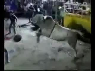 Watch Last Bull Ride This Poor Guy Ever Took Short Sex Videos - Duration: 01:11 | ePornNEW.