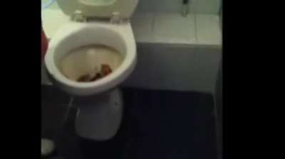 How a True Irishman Unclogs a Toilet