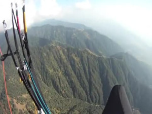 Eagle Flies Directly Into Paragliders Chute