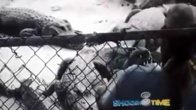 Alligator Trainer Nearly Gets Hand Bit Off