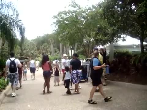 Watch Black Chick Screams Racism At Sea World Short Sex Videos - Duration: 01:23 | ePornNEW.