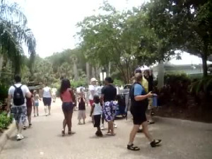 Black Chick Screams Racism At Sea World