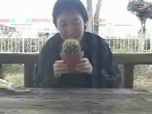 Insane Cactus Eater