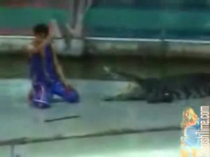 Croc bitting of some asian dudes arm..