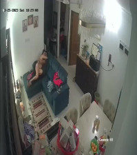 Indian NRI cctv