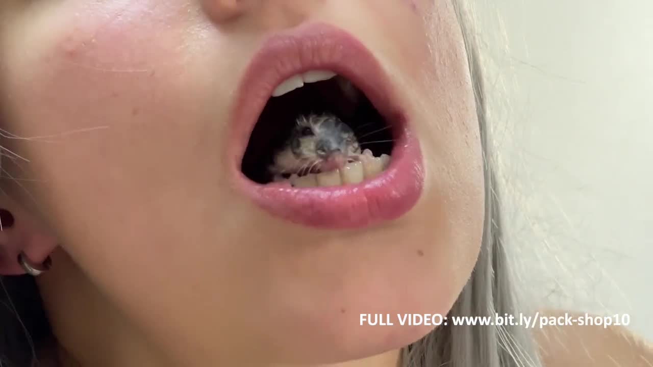 Watch Woman devours her friends hamster Short Sex Videos - Duration: 00:30 | ePornNEW.