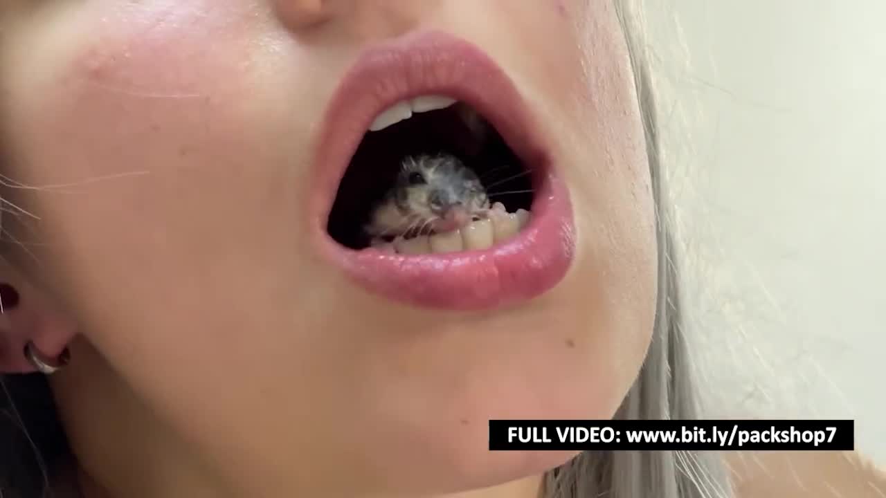 Watch Woman devours her friends hamster - Giantess Vore Short Sex Videos - Duration: 00:30 | ePornNEW.