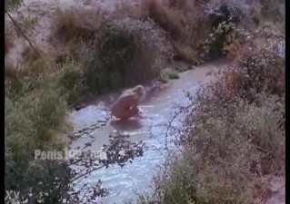 Ellen Barkin nude