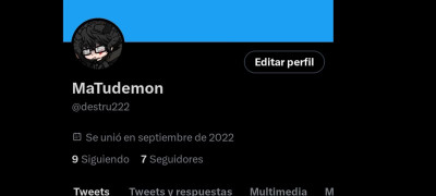 Mi Twitter