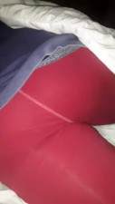 Annas ass